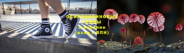 хмурый Алексеевка