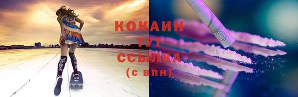 соль ск Алексин