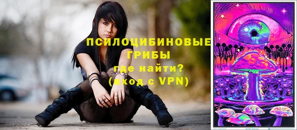 хмурый Алексеевка