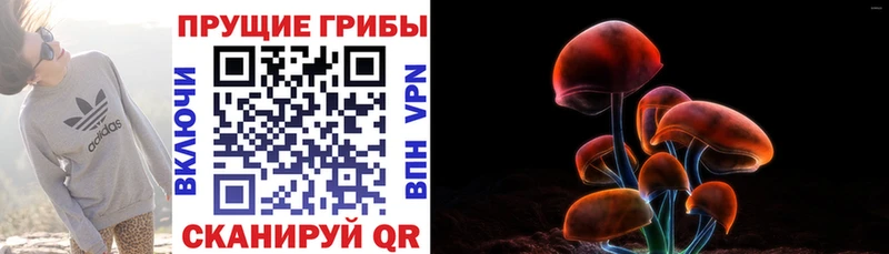 Псилоцибиновые грибы мицелий  Ленинск-Кузнецкий 